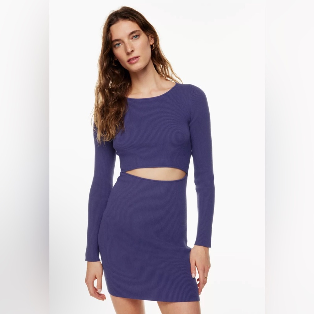 Aritzia Cut-Out Knit Longsleeve Mini Dress - Deep violet color- size small